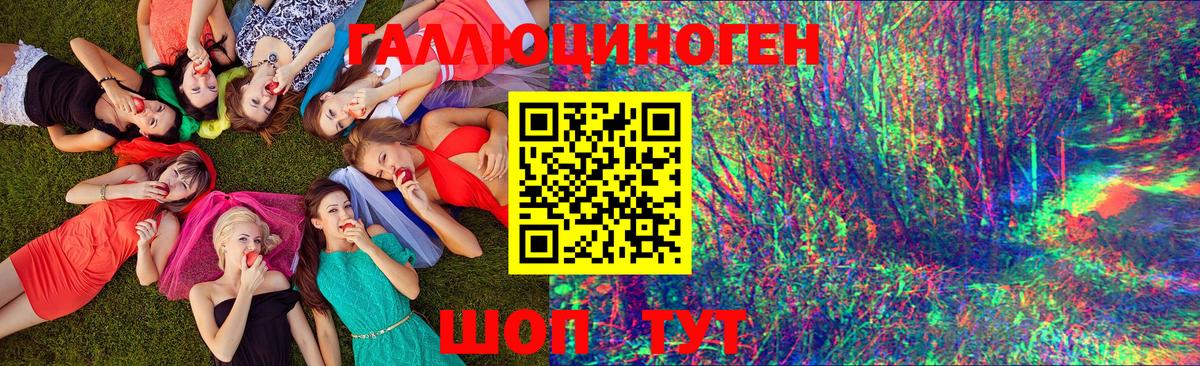 Псилоцибиновые грибы мухоморы Бор